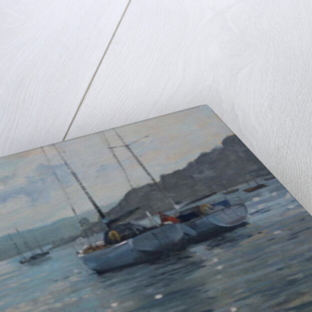 Evening Light, Salcombe by Jennifer Wright