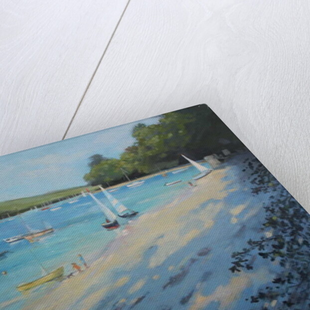 Salcombe Fishermans Cove, blue & white sail by Jennifer Wright