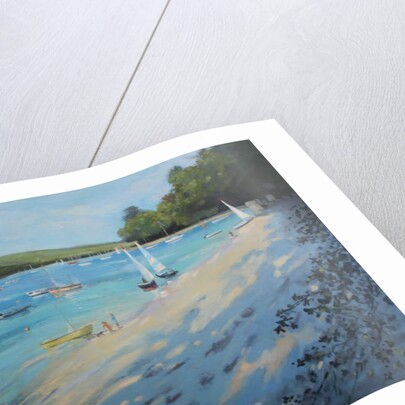 Salcombe Fishermans Cove, blue & white sail by Jennifer Wright