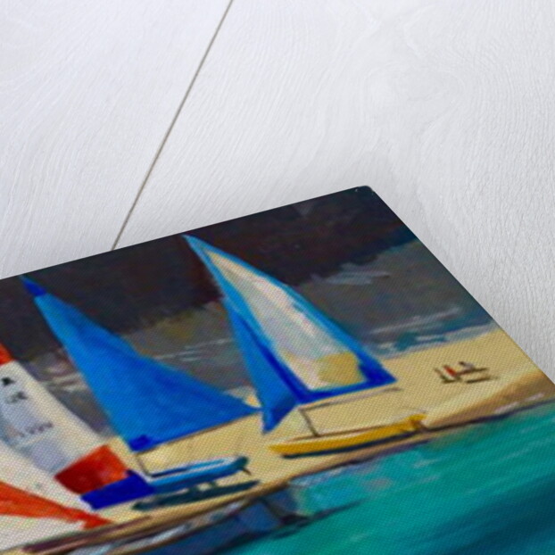 Salcombe Smalls Cove Dinghies by Jennifer Wright