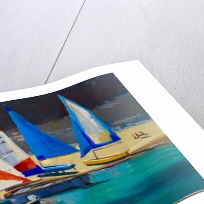 Salcombe Smalls Cove Dinghies by Jennifer Wright