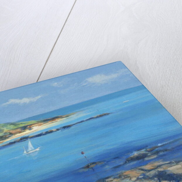 Sailing out of Salcombe, 2000 by Jennifer Wright