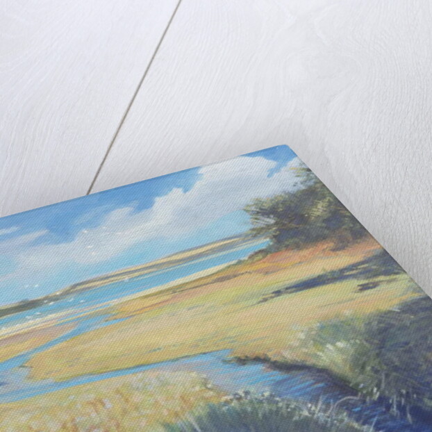 Kingsbridge Estuary, 2008 by Jennifer Wright