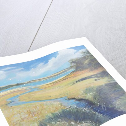 Kingsbridge Estuary, 2008 by Jennifer Wright