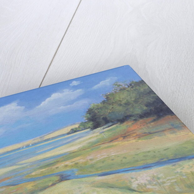 Kingsbridge Estuary 2, 2008 by Jennifer Wright