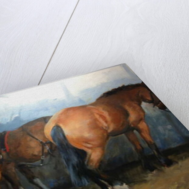 Horses - Heavy Horses - Chertsey Show, 2012 by Jennifer Wright