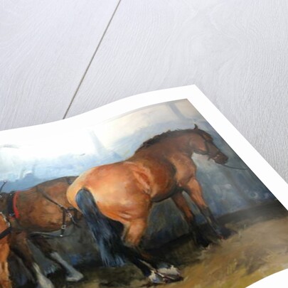 Horses - Heavy Horses - Chertsey Show, 2012 by Jennifer Wright