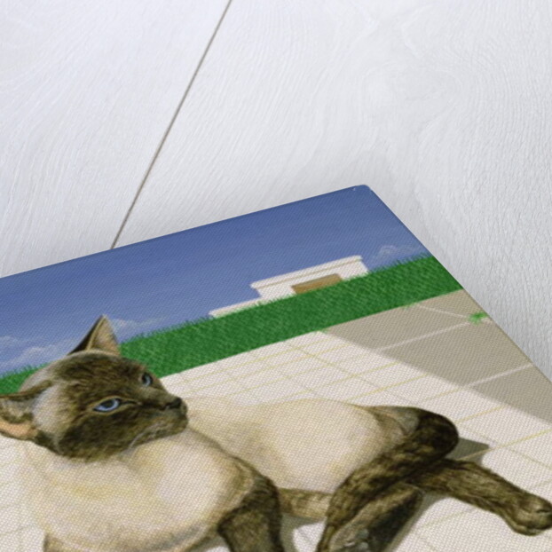Siamese cat by a swimming pool by Joan Freestone