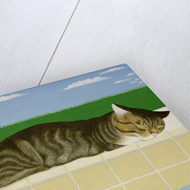 Tabby cat by a pool by Joan Freestone
