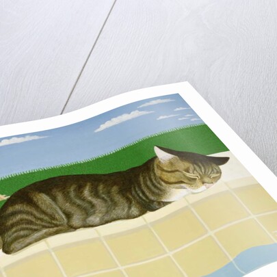 Tabby cat by a pool by Joan Freestone