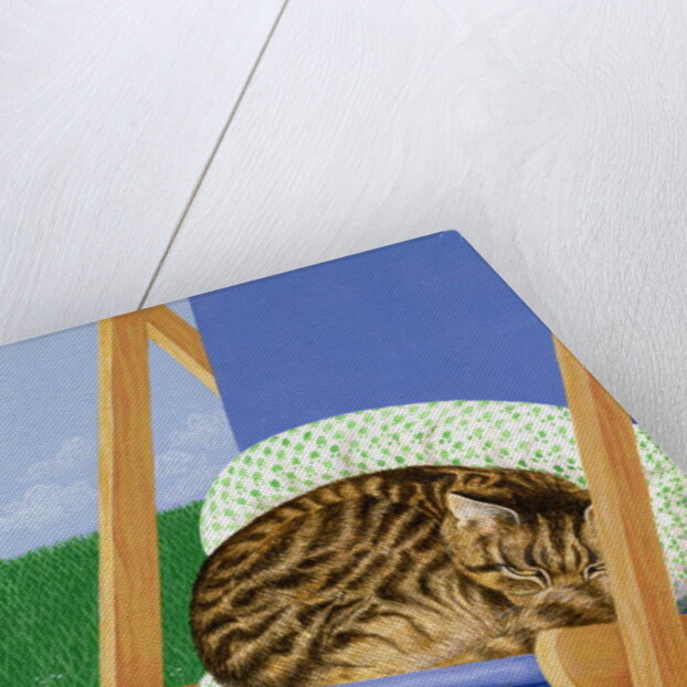 Tabby cat asleep in a deck chair by Joan Freestone