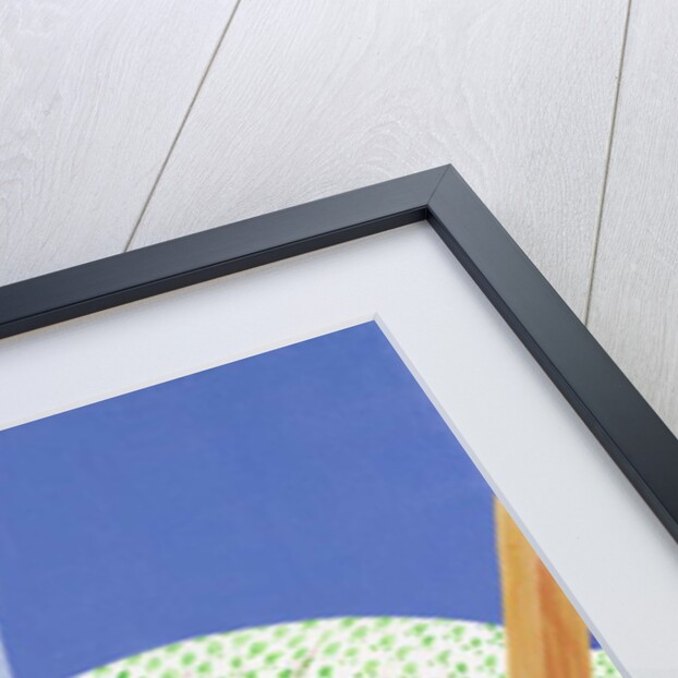 Tabby cat asleep in a deck chair by Joan Freestone