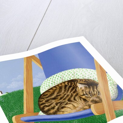 Tabby cat asleep in a deck chair by Joan Freestone