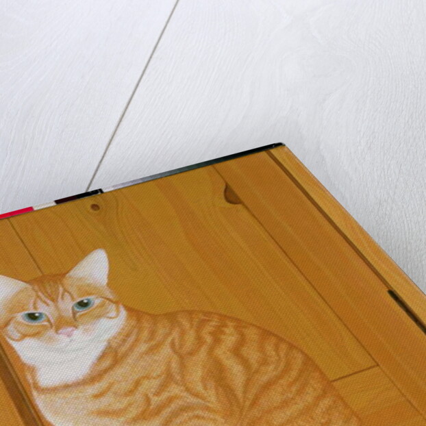 Marmalade cat by a door by Joan Freestone