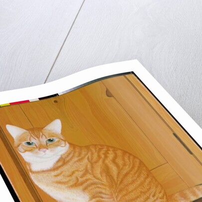 Marmalade cat by a door by Joan Freestone