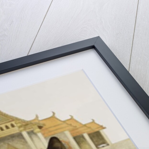 Siamese by Joan Freestone