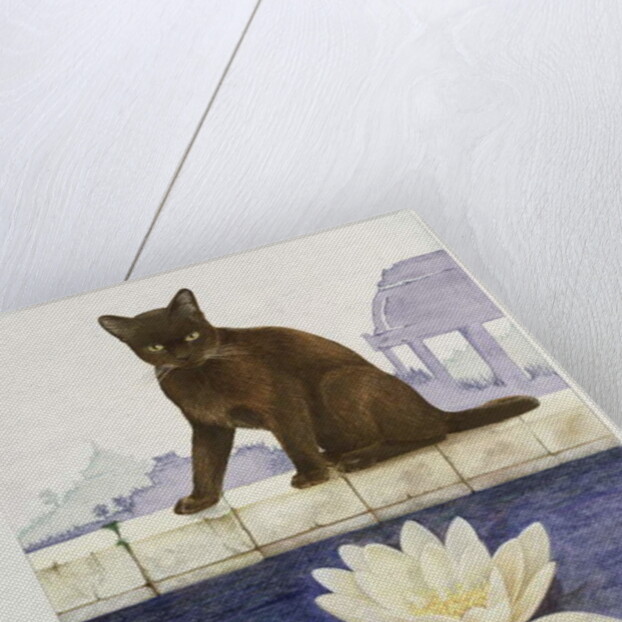 Burmese by Joan Freestone