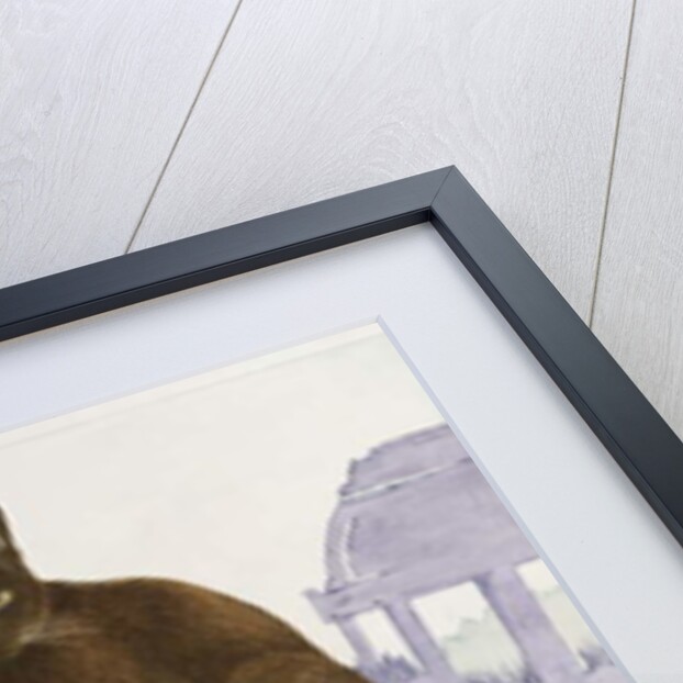 Burmese by Joan Freestone