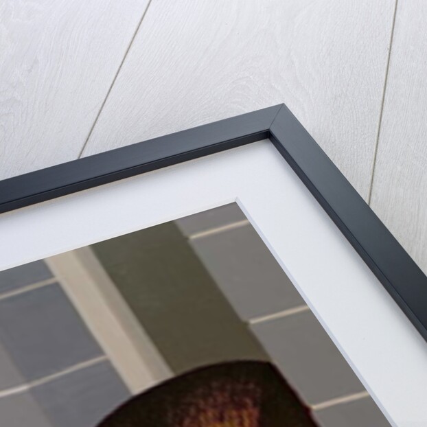 Cat on a Window Sill by Joan Freestone