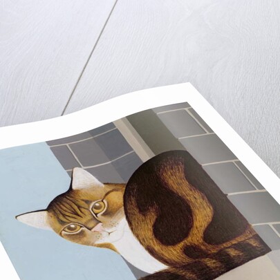 Cat on a Window Sill by Joan Freestone