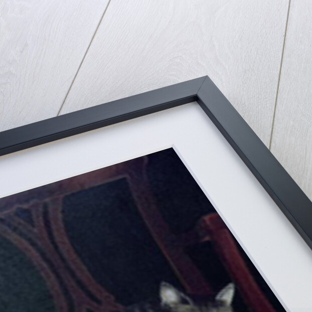 Mango with Molyneux by Joan Freestone