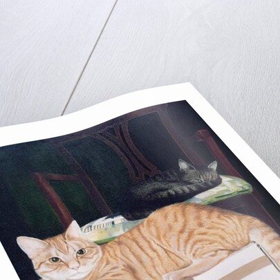 Mango with Molyneux by Joan Freestone