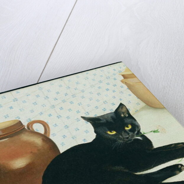 Nerissa by Joan Freestone