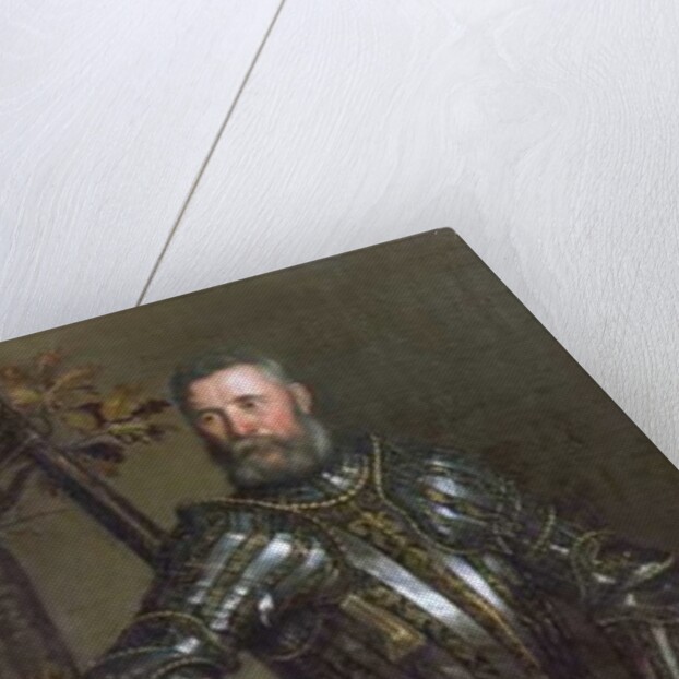 Portrait of Pase Guarienti, Venetian knight and noble by Domenico Brusasorci