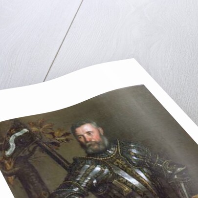 Portrait of Pase Guarienti, Venetian knight and noble by Domenico Brusasorci