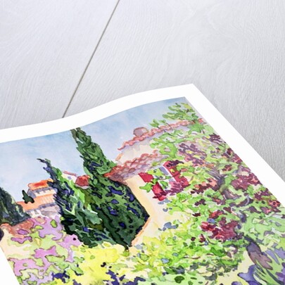 Garden at Vaison by Julia Gibson