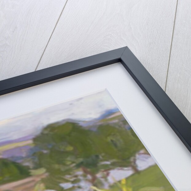 Jean Cadell at Dalserf, 1912 by Francis Campbell Boileau Cadell