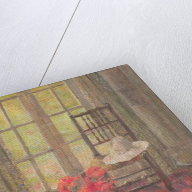 Interior with geranium by Joyce Haddon