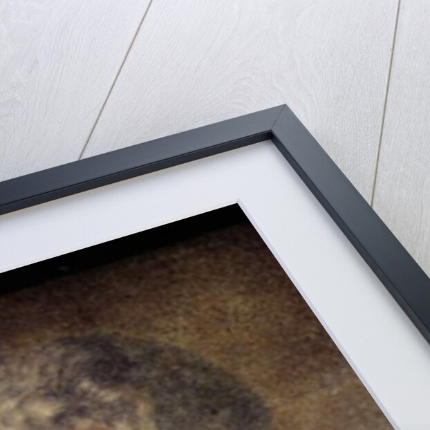 Portrait of Ferdinand Ries by German School