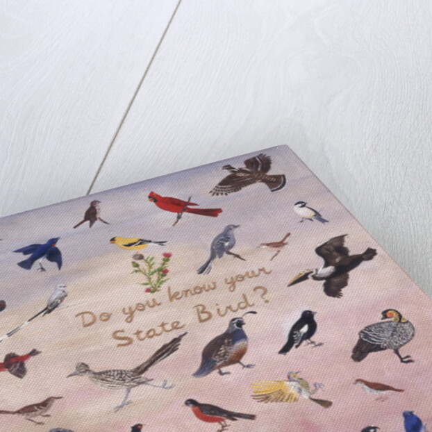 Do You Know Your State Bird?, 1996 by Joe Heaps Nelson