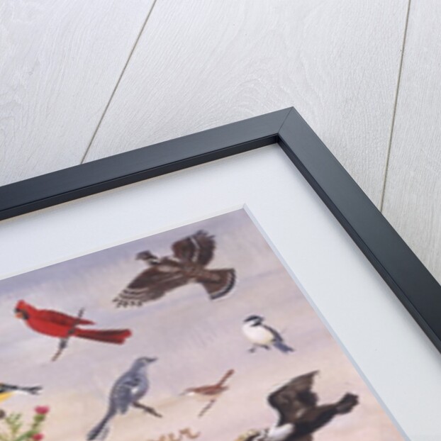 Do You Know Your State Bird?, 1996 by Joe Heaps Nelson