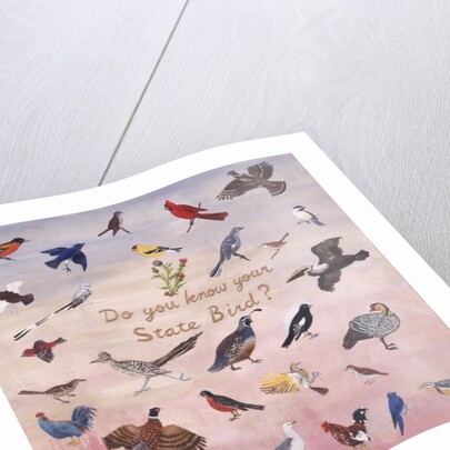 Do You Know Your State Bird?, 1996 by Joe Heaps Nelson