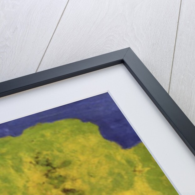 Two Women in a Landscape, 1895 by Edouard Vuillard