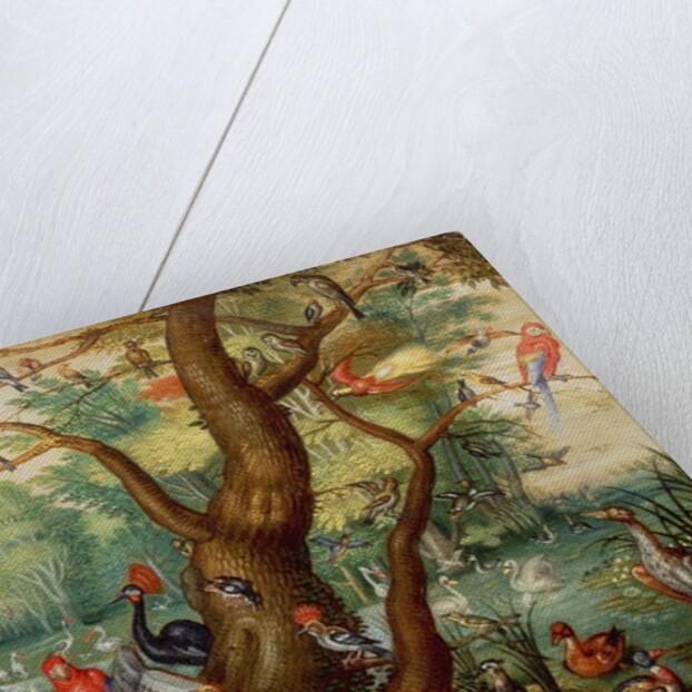 Concert of Birds by Jan van the Elder Kessel