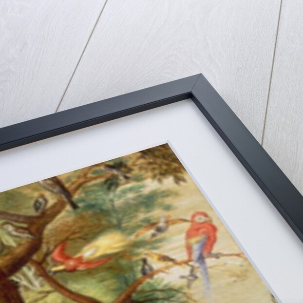 Concert of Birds by Jan van the Elder Kessel