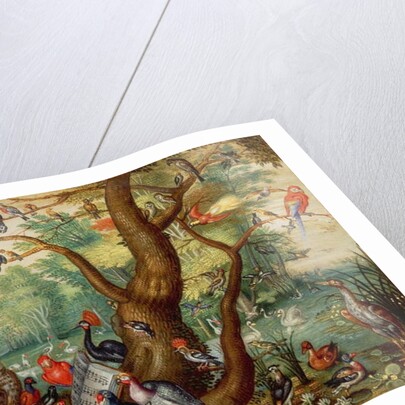 Concert of Birds by Jan van the Elder Kessel