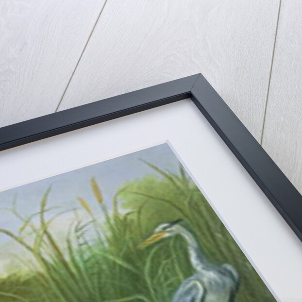 The Heron and the Fox, 1661 by Jan van the Elder Kessel