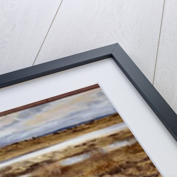 Curlews Birds in the marshes, 1913 by Bruno Andreas Liljefors