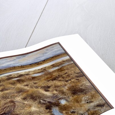 Curlews Birds in the marshes, 1913 by Bruno Andreas Liljefors