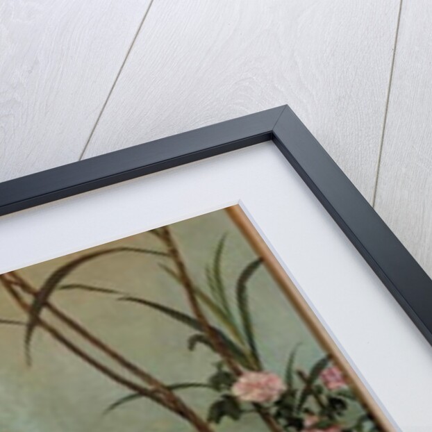 The child with the parrot, 1879 by Edgard Farasyn