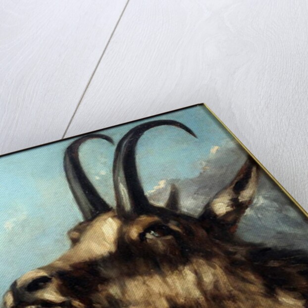 Head Of Chamois, 19th century by Gustave Courbet