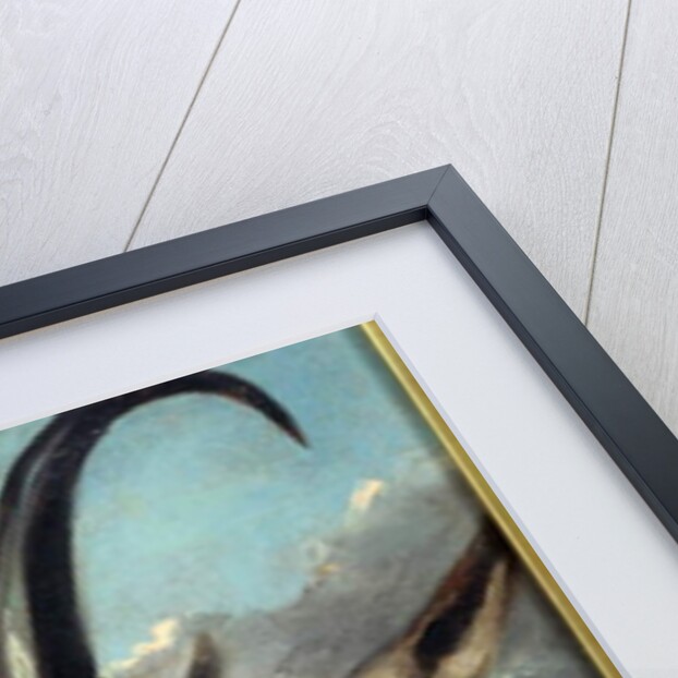 Head Of Chamois, 19th century by Gustave Courbet