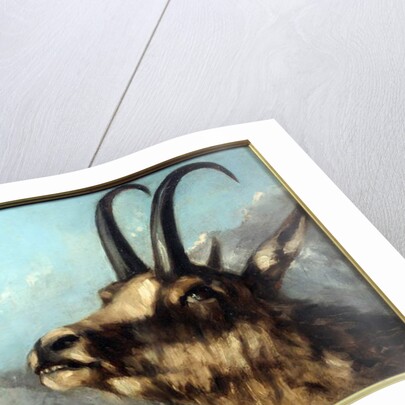 Head Of Chamois, 19th century by Gustave Courbet