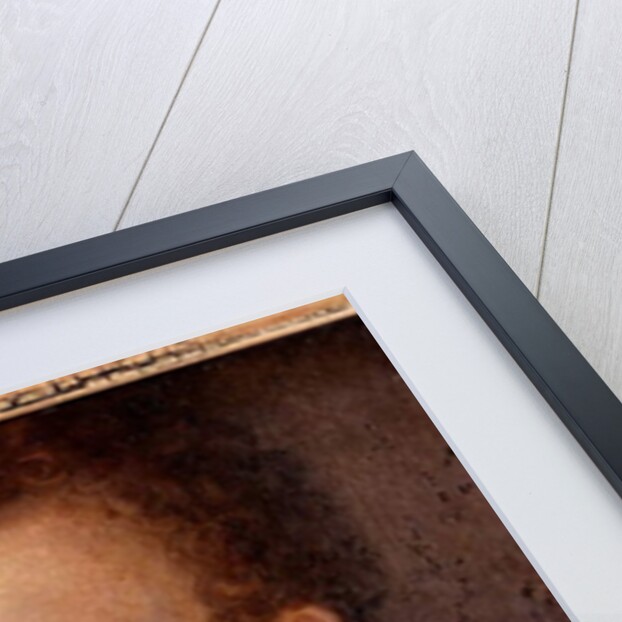 Sir Francis Drake, after an engraving attributed to Jodocus Hondius, c.1583 by Unknown Artist