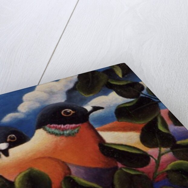 Bill and Coo by Jerzy Marek