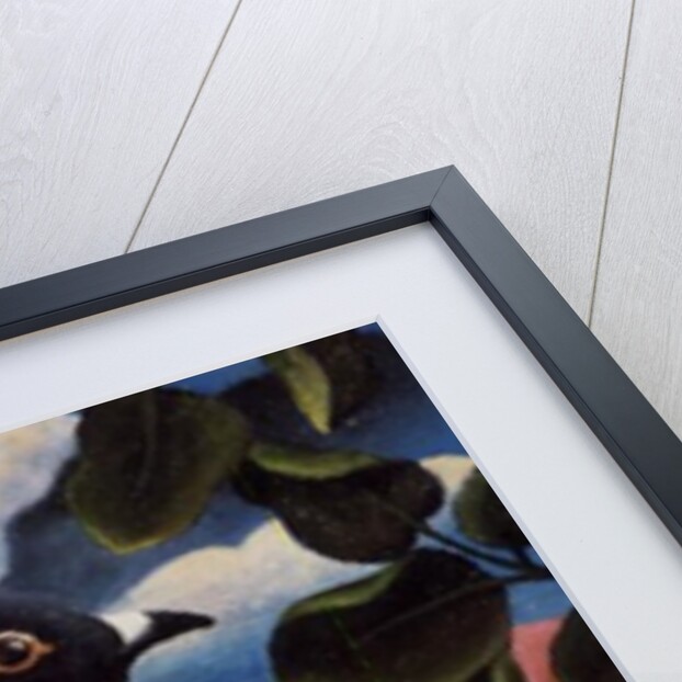 Bill and Coo by Jerzy Marek